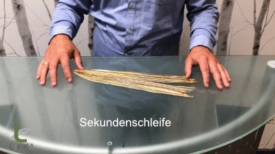 Video Sekundenschleife 5 Video Sekundenschleife 5